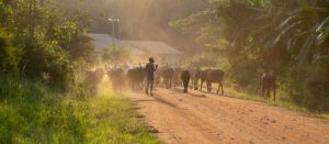 Documentary photography in Uganda by Traits Visuals