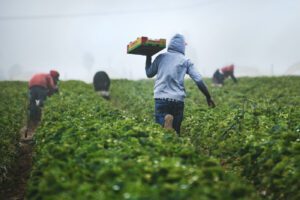Documentary photography in Uganda by Traits Visuals