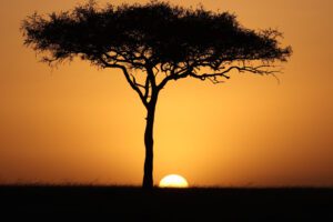 Documentary photography in Uganda by Traits Visuals